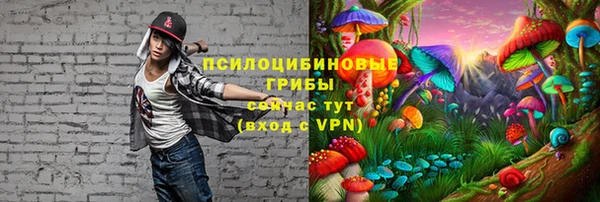 ALPHA PVP Дмитров