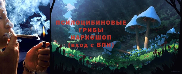 2c-b Дмитровск