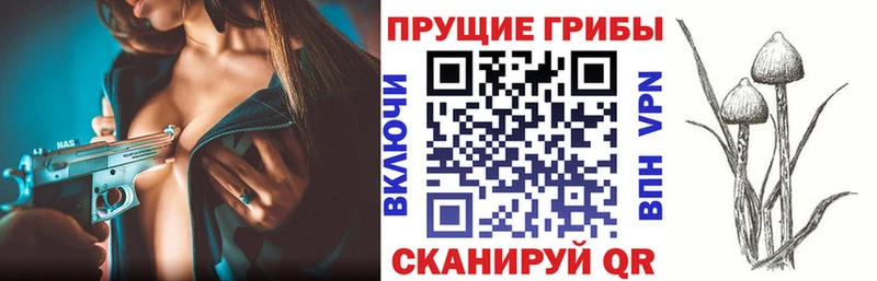 Псилоцибиновые грибы ЛСД Купить где Белорецк